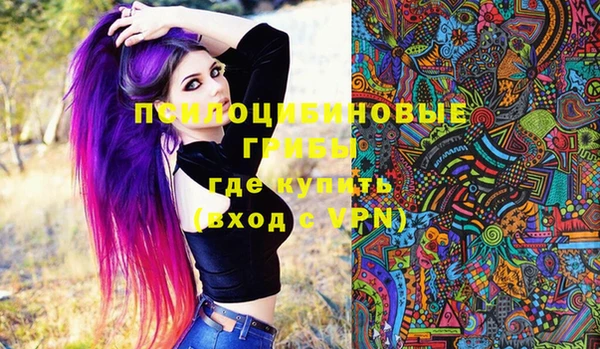 ECSTASY Алексин