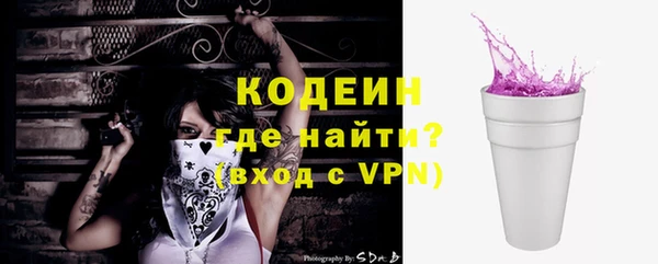 хмурый Ельня
