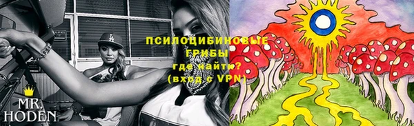 ECSTASY Алексин