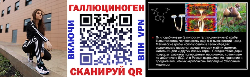 Псилоцибиновые грибы GOLDEN TEACHER цена Ардатов